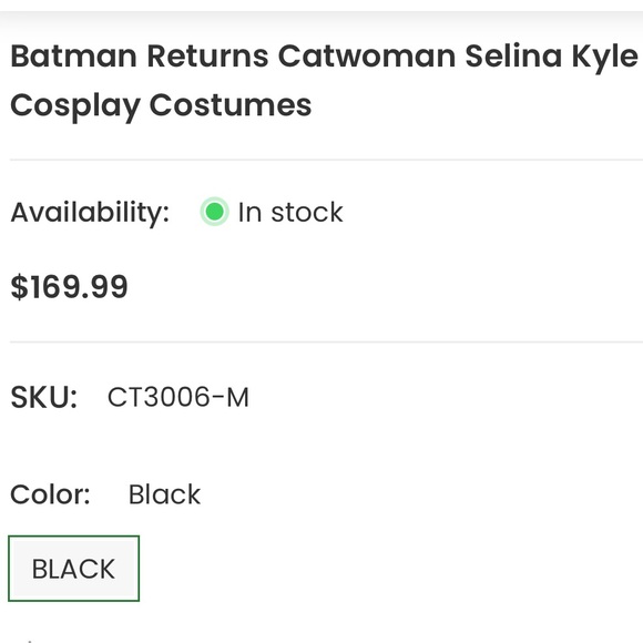 Catwoman - Batman Returns 1992 Selina Kyle - Picture 9 of 10